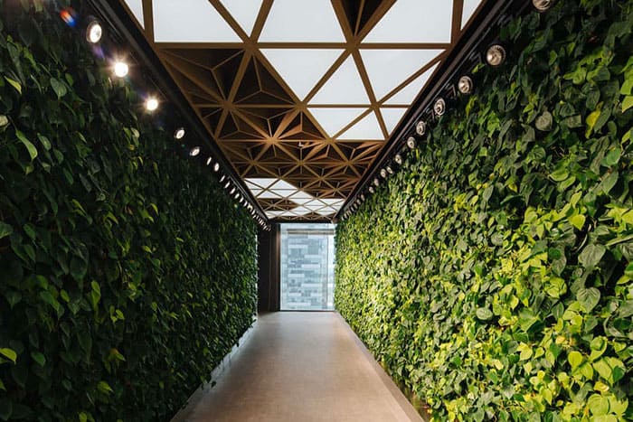 طراحی اداری بیوفیلیک