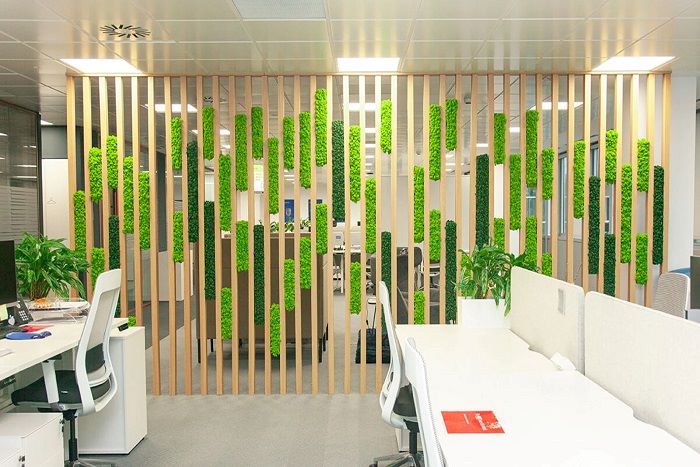 اصول طراحی بیوفیلیک در طراحی پارتیشن اداری