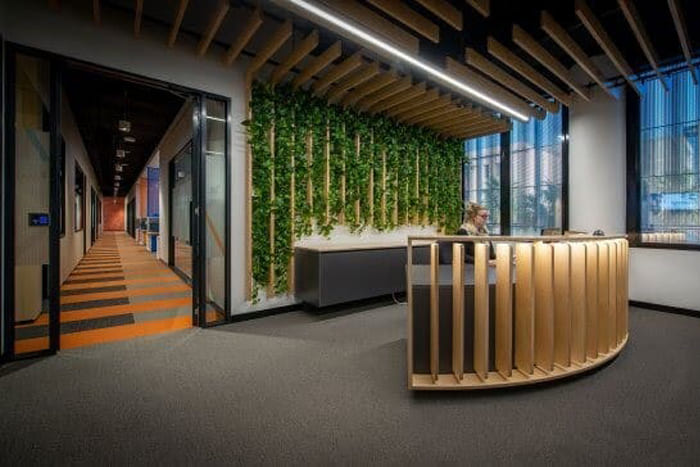استفاده از گیاهان در طراحی دکوراسیون اداری