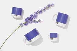 ترندهای دکوراسیون داخلی سال 2022